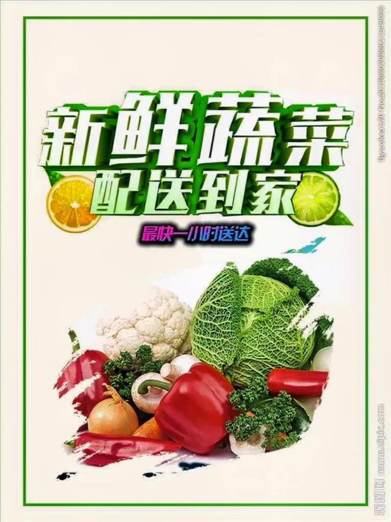 專業蔬菜批發配送服務 為工廠、學校、醫院食堂提供新鮮保障