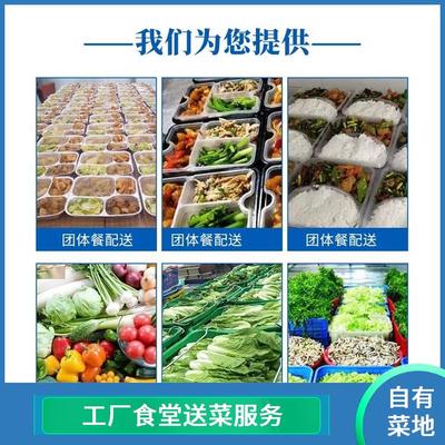 東莞蔬菜配送服務 高效、新鮮、批發的專業解決方案
